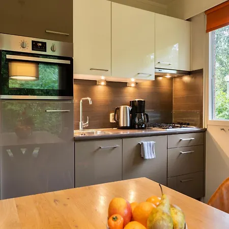Luxury With Sauna, Near The Veluwe Putten